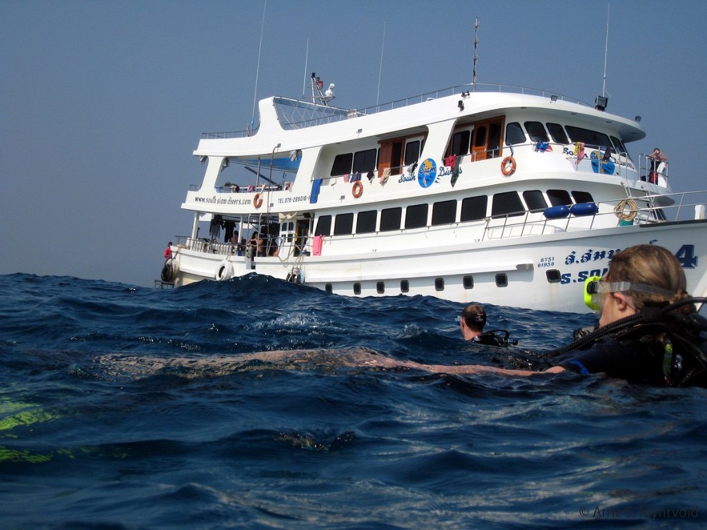 2007 - Similan Anitas Reef(13).jpg